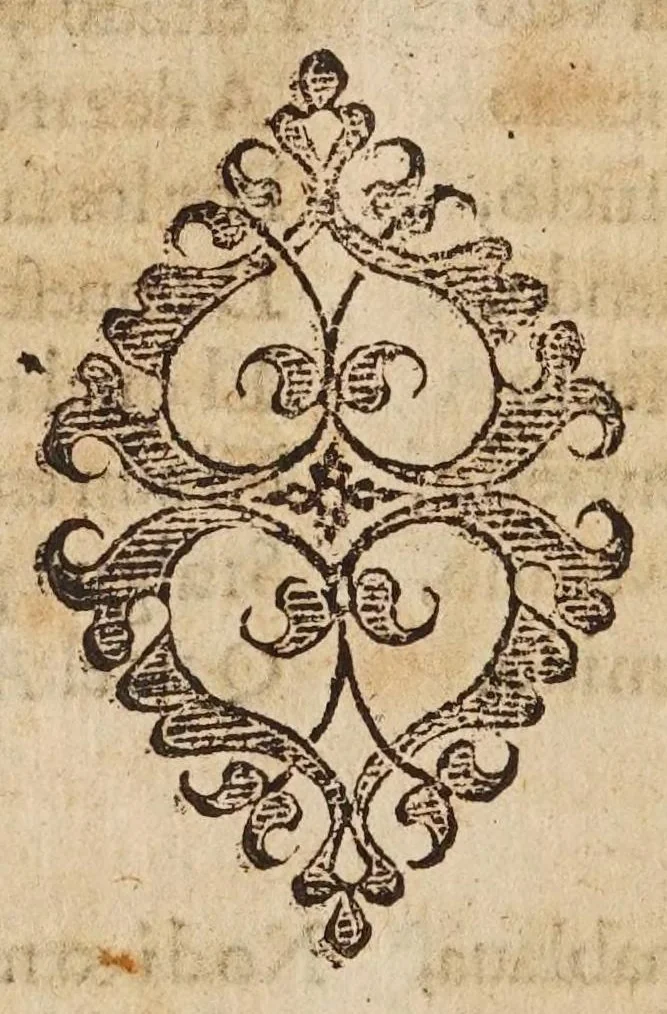 An illustration from Las transformaciones de Ouidio, 1589, leaf 200