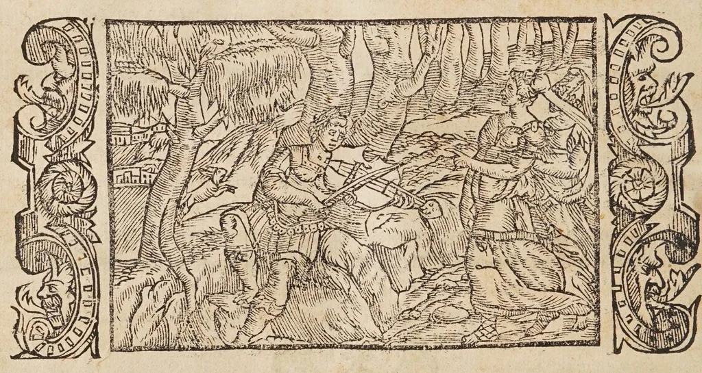 An illustration from Las transformaciones de Ouidio, 1589, leaf 252
