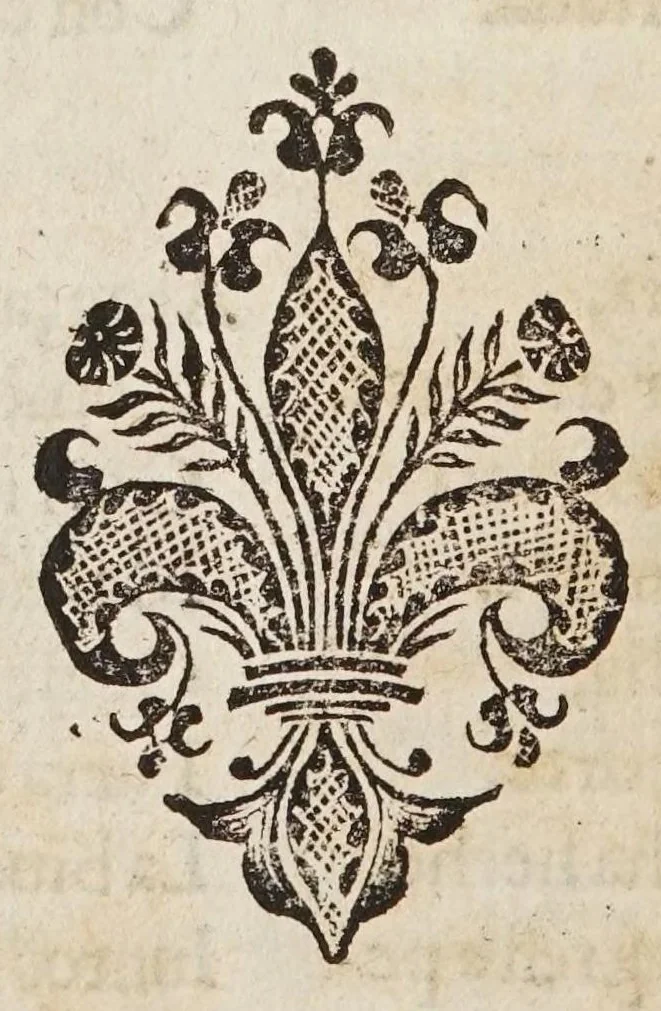 An illustration from Las transformaciones de Ouidio, 1589, leaf 298