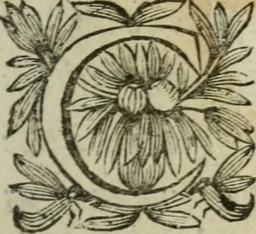 An illustration from L'Astrée, 1625, leaf 6