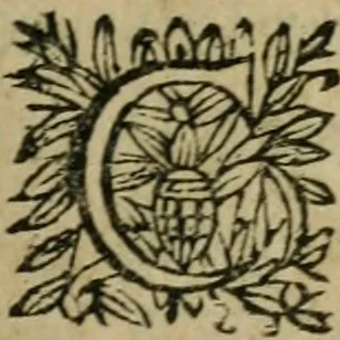 An illustration from L'Astrée, 1625, leaf 656