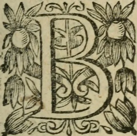 An illustration from L'Astrée, 1625, leaf 12