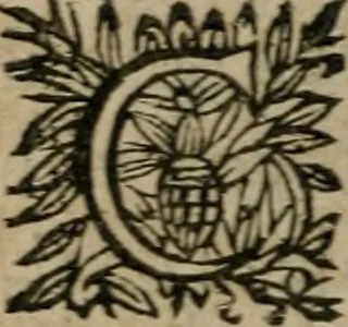 An illustration from L'Astrée, 1625, leaf 315