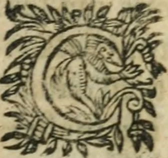 An illustration from L'Astrée, 1625, leaf 1310