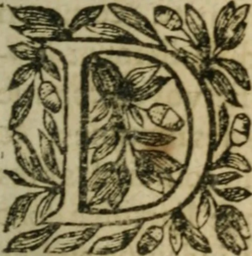 An illustration from L'Astrée, 1625, leaf 20