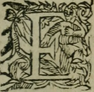 An illustration from L'Astrée, 1625, leaf 530
