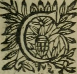 An illustration from L'Astrée, 1625, leaf 812