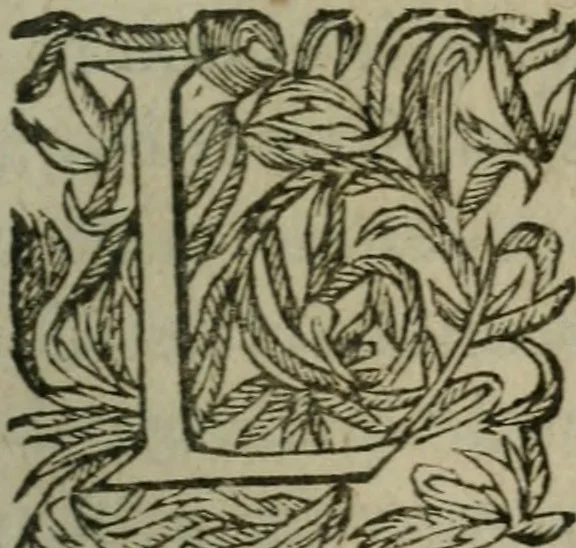 An illustration from L'Astrée, 1625, leaf 858