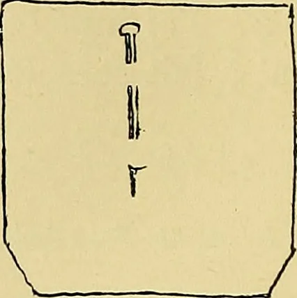 An illustration from La suggestibilité, 1900, leaf 329