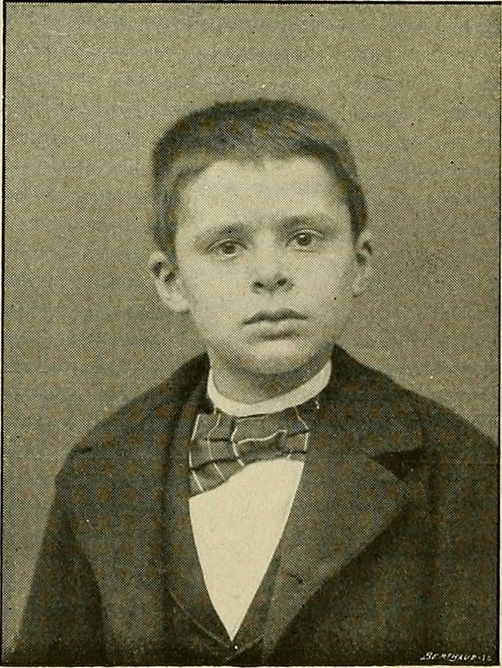 An illustration from La suggestibilité, 1900, leaf 9