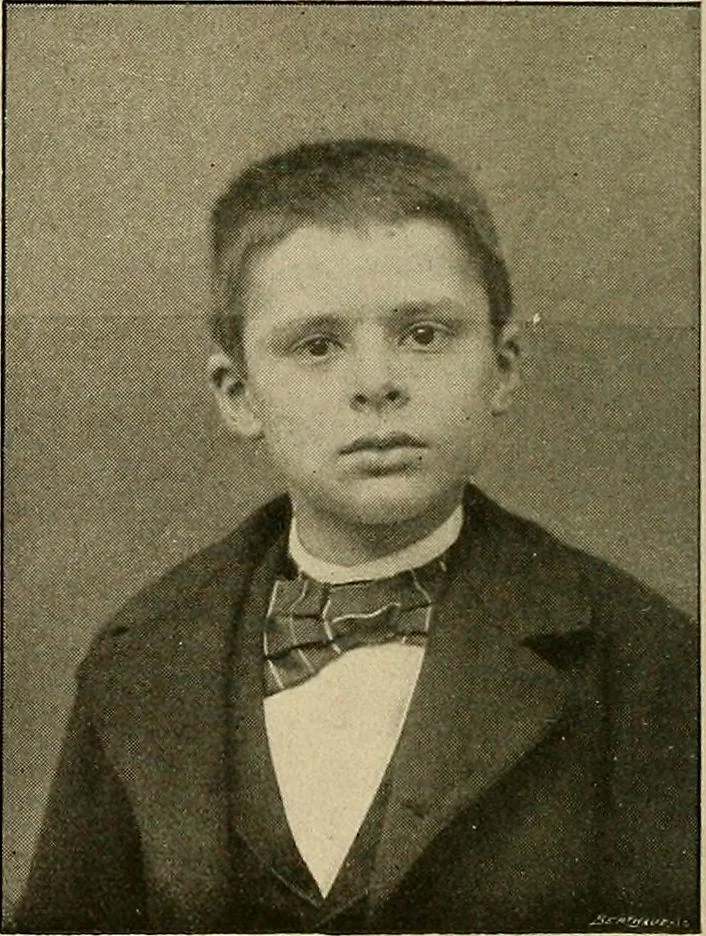 An illustration from La suggestibilité, 1900, leaf 7