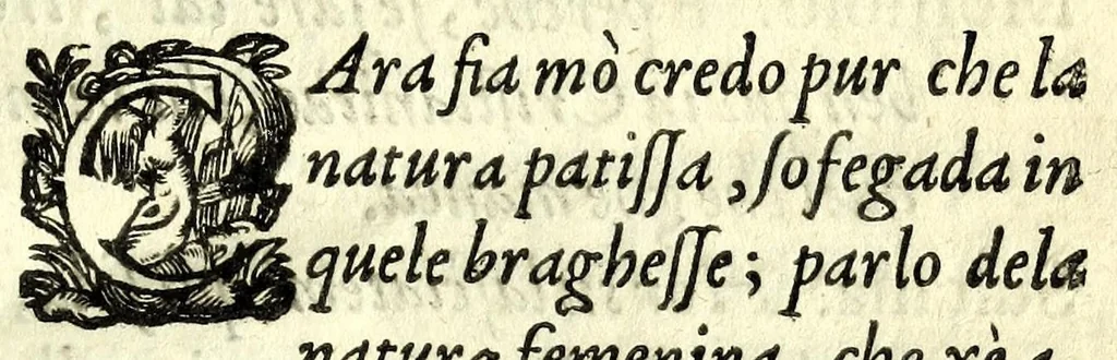An illustration from La Svltana : commedia, 1622, leaf 47
