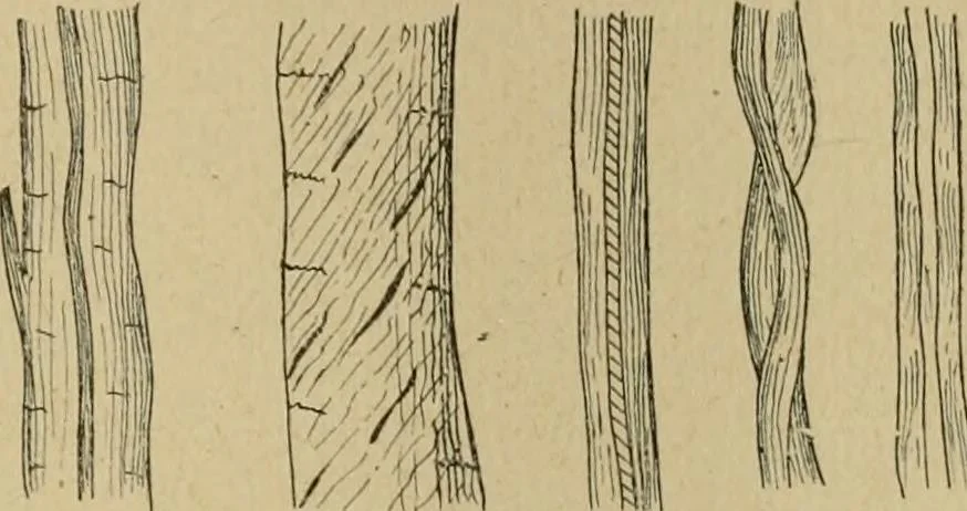 An illustration from La teinture du coton, 1912, leaf 128