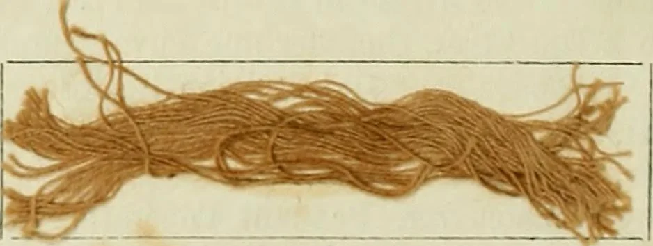 An illustration from La teinture moderne : recueil des principaux procédés pratiques de teinture ..., 1875, leaf 707