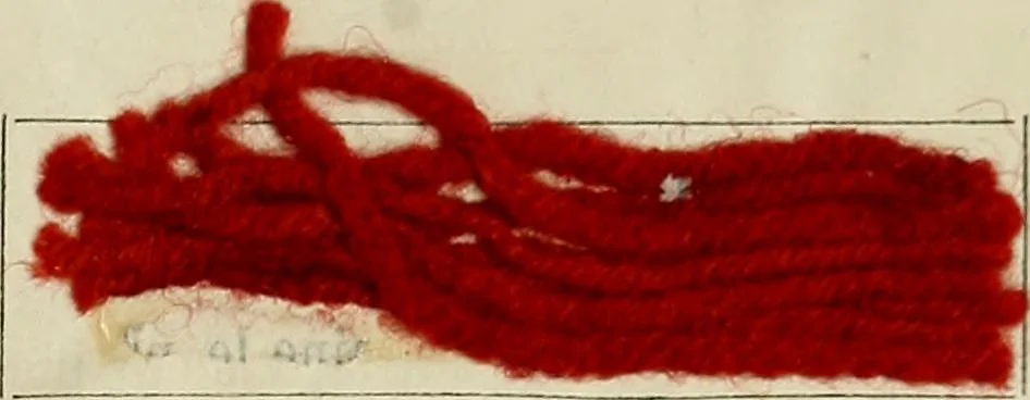 An illustration from La teinture moderne : recueil des principaux procédés pratiques de teinture ..., 1875, leaf 736