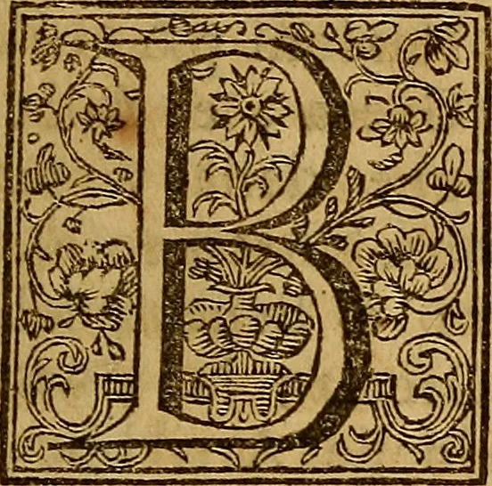 An illustration from La teorica della pittura, ovvero, Trattato delle materie più necessarie, per apprendere con fondamento quest' arte, 1739, leaf 34