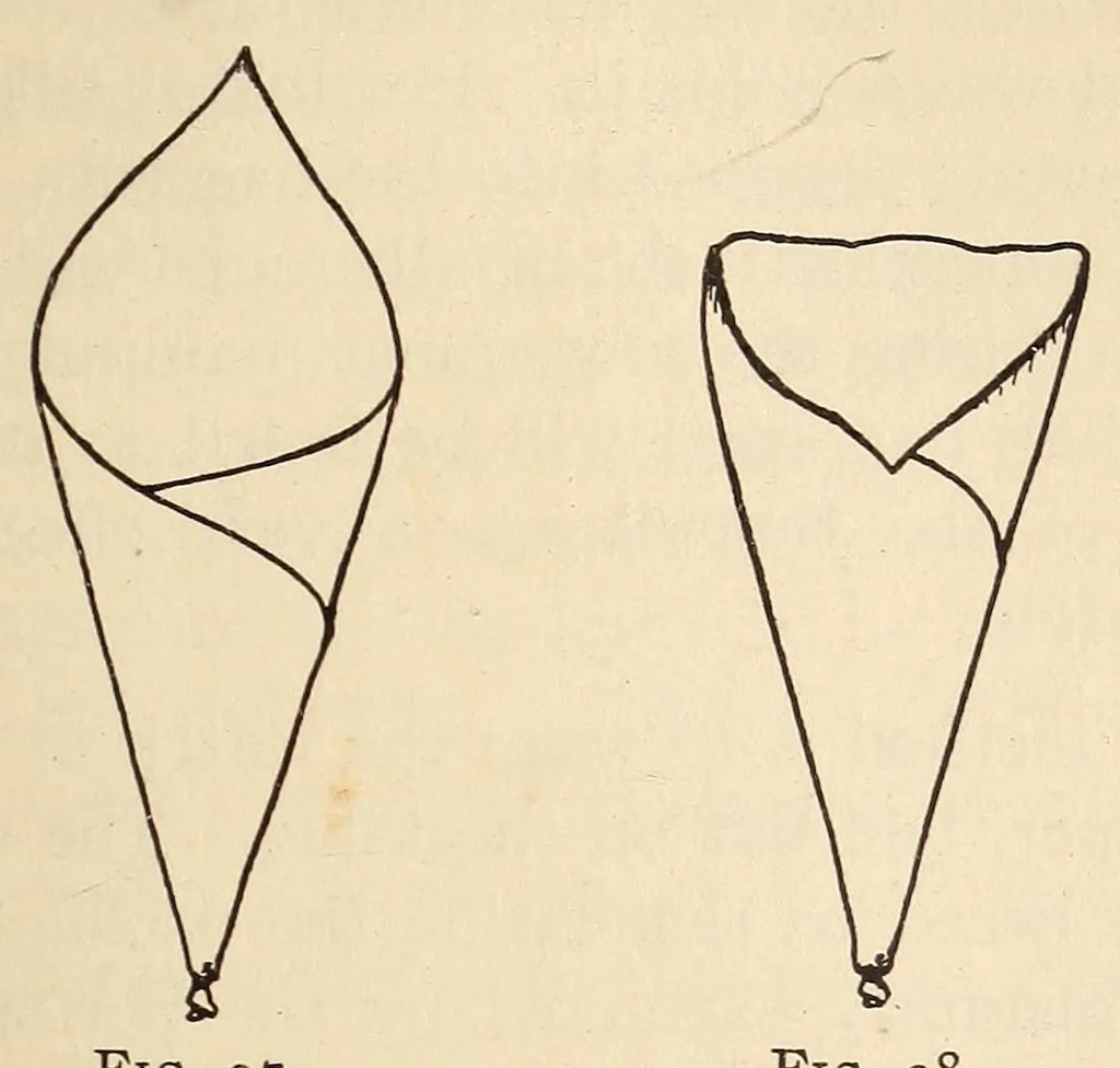 An illustration from Later magic, 1904, leaf 165