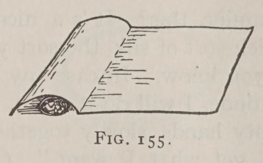 An illustration from Later magic, with new miscellaneous tricks and recollections of Hartz the Wizard, 1911, leaf 335