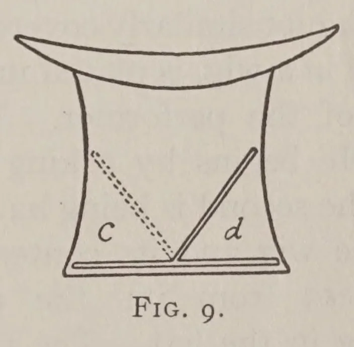An illustration from Later magic, with new miscellaneous tricks and recollections of Hartz the Wizard, 1911, leaf 47