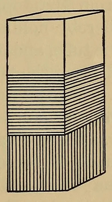An illustration from Latest magic, being original conjuring tricks, 1918, leaf 173