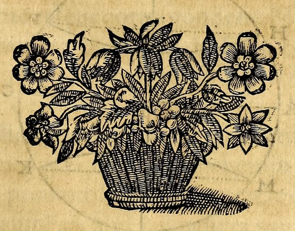 An illustration from La theorie des longitudes, reduite en pratique sur le globe celeste, : extraordinairement appareillé, pour cognoistre facilement en mer, combien l'on est esloigné de toutes les terres du monde. : Auec l'inuention du globe hauturien, qui est vn instrument pour prendre à toute heure du iour, aux rayons du soleil, la hauteur equinoctiale & polaire. ..., 1647, leaf 85