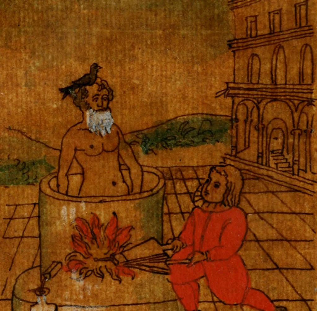An illustration from La toyson d'or, ov, La flevr des thresors, en laqvelle est svccinctement & methodiquement traicté de la pierre des philosophes, de son excellence, effects & vertu admirable : plvs, de son origine & du vray moyen de pouuoir paruenir à perfection ..., 1612, leaf 101