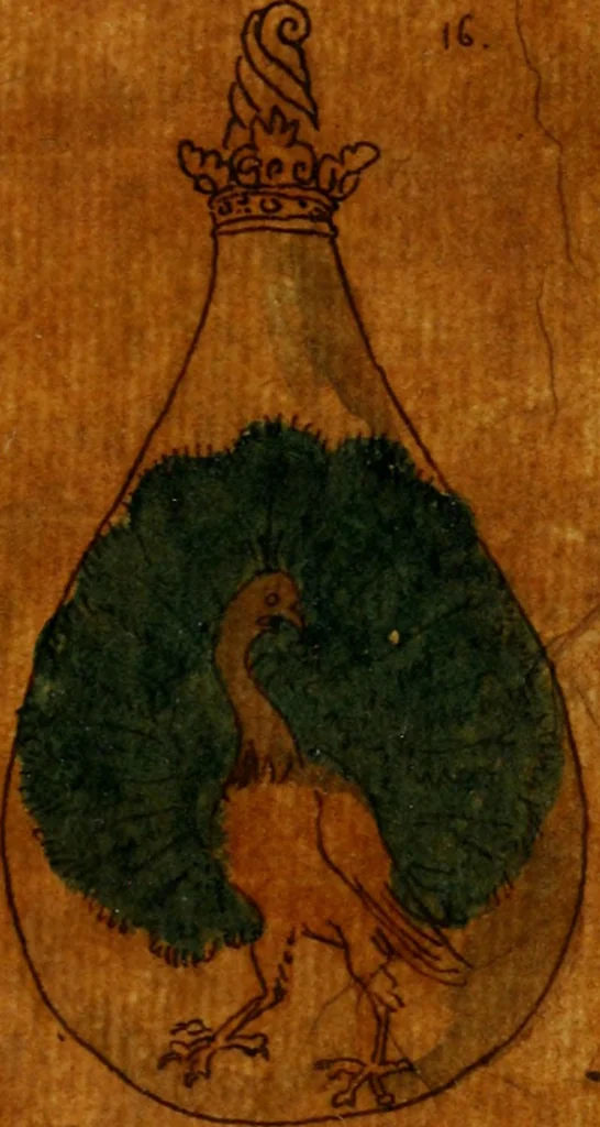 An illustration from La toyson d'or, ov, La flevr des thresors, en laqvelle est svccinctement & methodiquement traicté de la pierre des philosophes, de son excellence, effects & vertu admirable : plvs, de son origine & du vray moyen de pouuoir paruenir à perfection ..., 1612, leaf 116