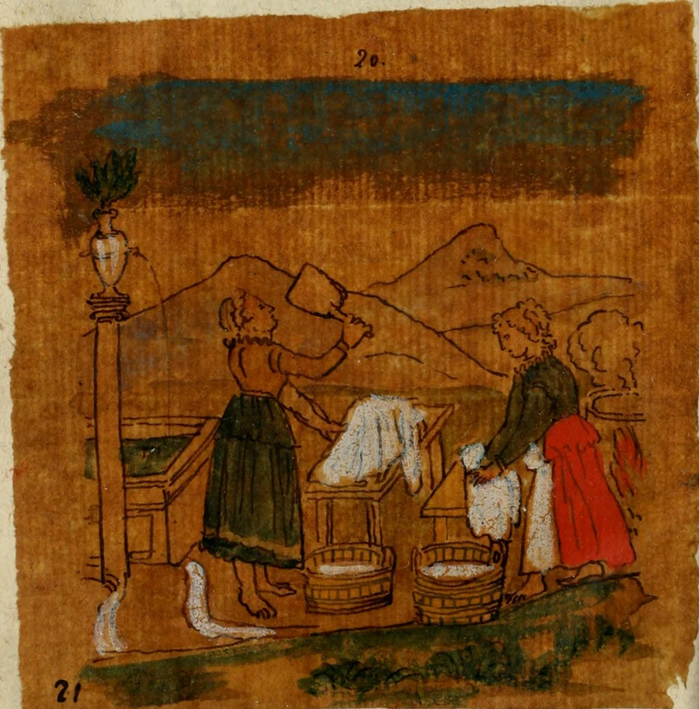 An illustration from La toyson d'or, ov, La flevr des thresors, en laqvelle est svccinctement & methodiquement traicté de la pierre des philosophes, de son excellence, effects & vertu admirable : plvs, de son origine & du vray moyen de pouuoir paruenir à perfection ..., 1612, leaf 135