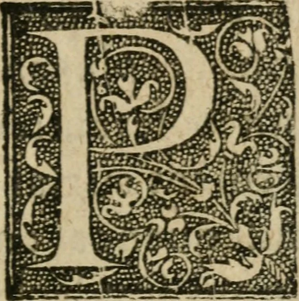 An illustration from La toyson d'or, ov, La flevr des thresors, en laqvelle est svccinctement & methodiquement traicté de la pierre des philosophes, de son excellence, effects & vertu admirable : plvs, de son origine & du vray moyen de pouuoir paruenir à perfection ..., 1612, leaf 152
