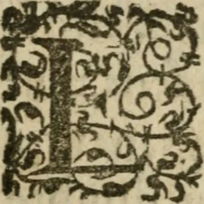 An illustration from La toyson d'or, ov, La flevr des thresors, en laqvelle est svccinctement & methodiquement traicté de la pierre des philosophes, de son excellence, effects & vertu admirable : plvs, de son origine & du vray moyen de pouuoir paruenir à perfection ..., 1612, leaf 234