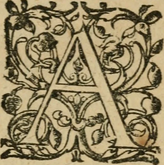 An illustration from La toyson d'or, ov, La flevr des thresors, en laqvelle est svccinctement & methodiquement traicté de la pierre des philosophes, de son excellence, effects & vertu admirable : plvs, de son origine & du vray moyen de pouuoir paruenir à perfection ..., 1612, leaf 24