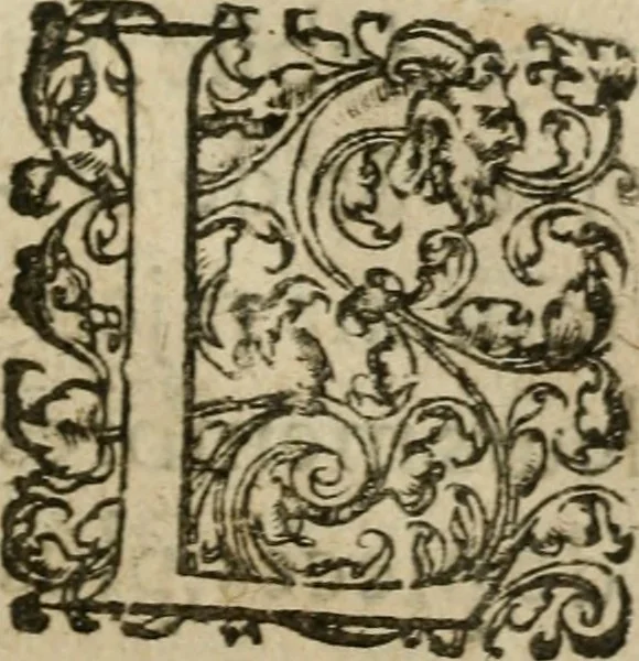 An illustration from La toyson d'or, ov, La flevr des thresors, en laqvelle est svccinctement & methodiquement traicté de la pierre des philosophes, de son excellence, effects & vertu admirable : plvs, de son origine & du vray moyen de pouuoir paruenir à perfection ..., 1612, leaf 96