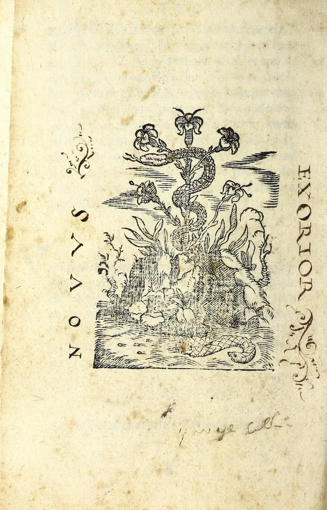 An illustration from La trinvtia : comedia, 1549, leaf 96