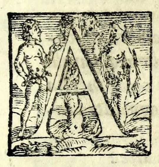 An illustration from La trinvtia : commedia, 1593, leaf 49