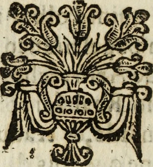 An illustration from Laura de Anfriso, 1628, leaf 25