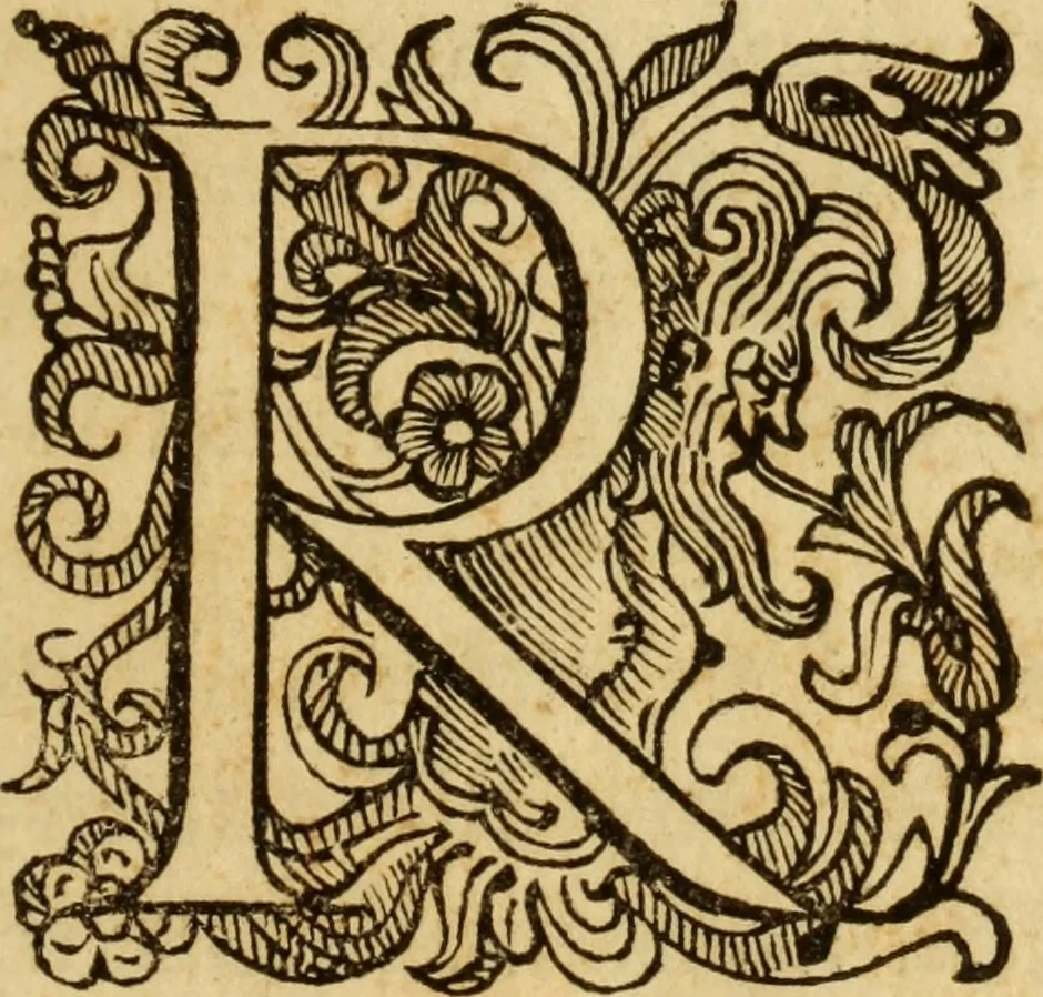 An illustration from Laurentii Bellini Opuscula aliquot Ad Archibaldum Pitcarnium Professorem Lugduno-Batavum, 1695, leaf 10