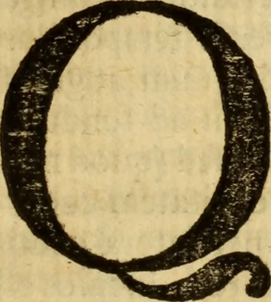 An illustration from Laurentii Bellini Opuscula aliquot Ad Archibaldum Pitcarnium Professorem Lugduno-Batavum, 1695, leaf 104