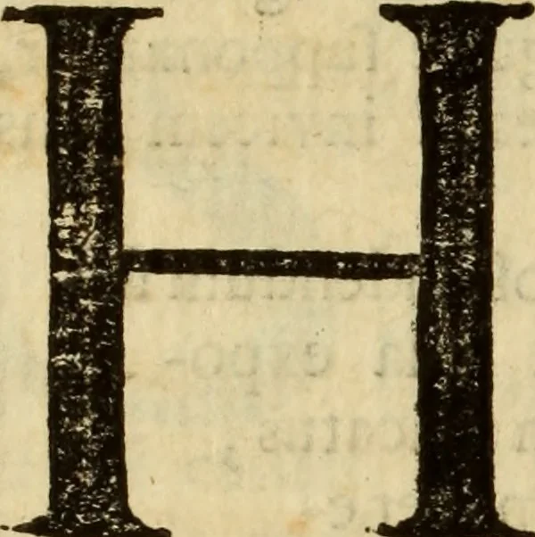 An illustration from Laurentii Bellini Opuscula aliquot Ad Archibaldum Pitcarnium Professorem Lugduno-Batavum, 1695, leaf 135