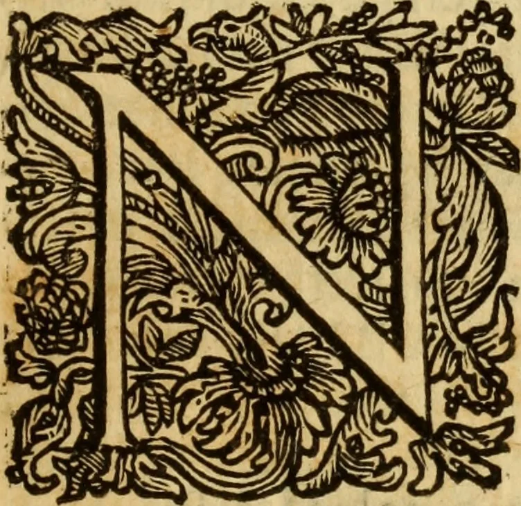 An illustration from Laurentii Bellini Opuscula aliquot Ad Archibaldum Pitcarnium Professorem Lugduno-Batavum, 1695, leaf 140