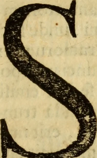 An illustration from Laurentii Bellini Opuscula aliquot Ad Archibaldum Pitcarnium Professorem Lugduno-Batavum, 1695, leaf 146