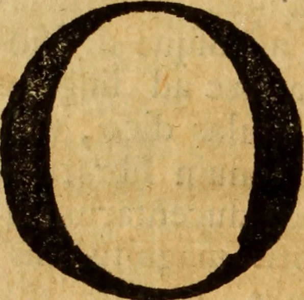 An illustration from Laurentii Bellini Opuscula aliquot Ad Archibaldum Pitcarnium Professorem Lugduno-Batavum, 1695, leaf 159