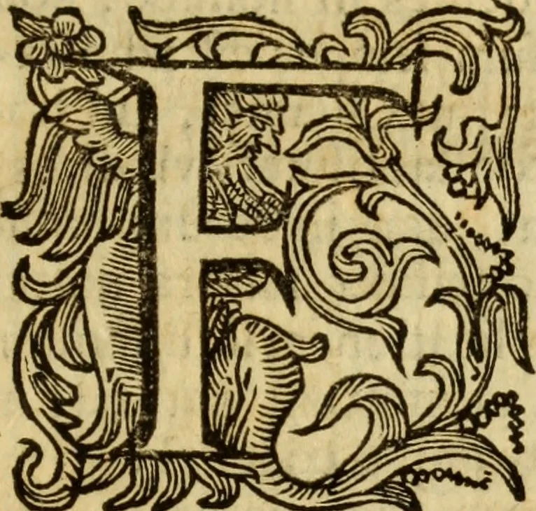 An illustration from Laurentii Bellini Opuscula aliquot Ad Archibaldum Pitcarnium Professorem Lugduno-Batavum, 1695, leaf 168