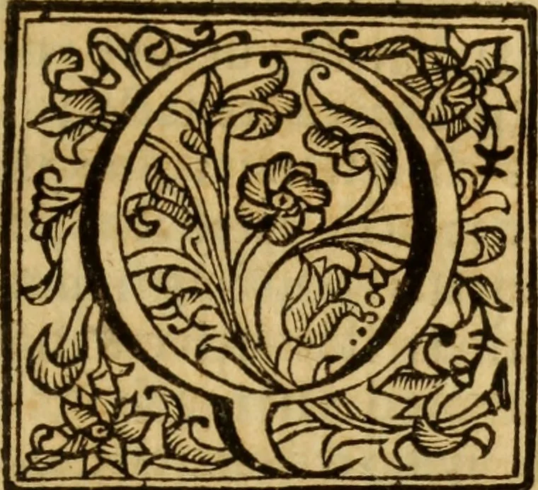 An illustration from Laurentii Bellini Opuscula aliquot Ad Archibaldum Pitcarnium Professorem Lugduno-Batavum, 1695, leaf 170