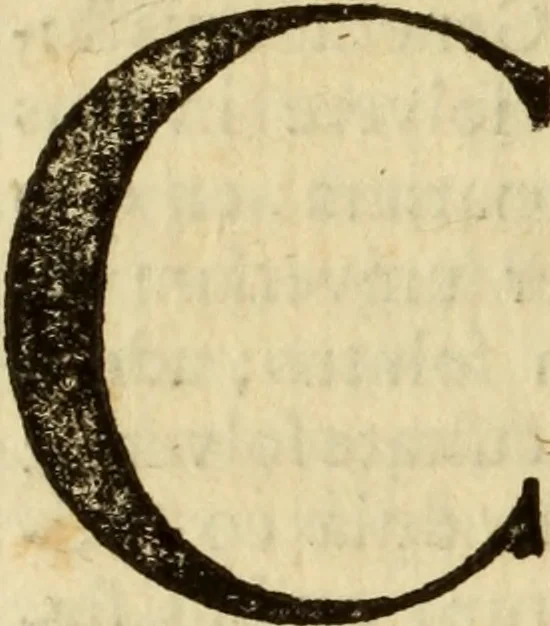 An illustration from Laurentii Bellini Opuscula aliquot Ad Archibaldum Pitcarnium Professorem Lugduno-Batavum, 1695, leaf 179