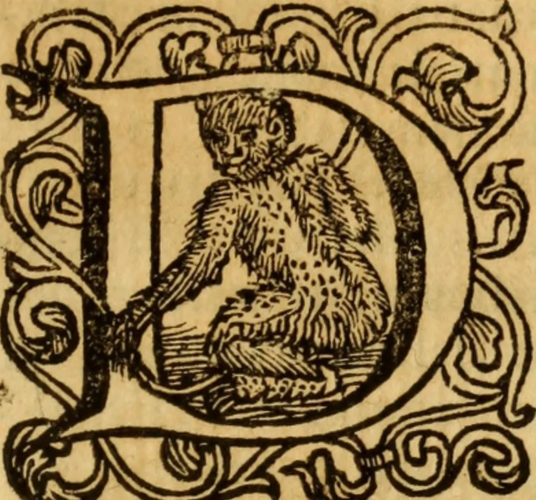 An illustration from Laurentii Bellini Opuscula aliquot Ad Archibaldum Pitcarnium Professorem Lugduno-Batavum, 1695, leaf 188