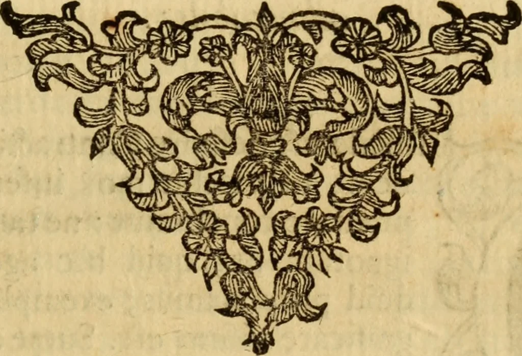 An illustration from Laurentii Bellini Opuscula aliquot Ad Archibaldum Pitcarnium Professorem Lugduno-Batavum, 1695, leaf 212