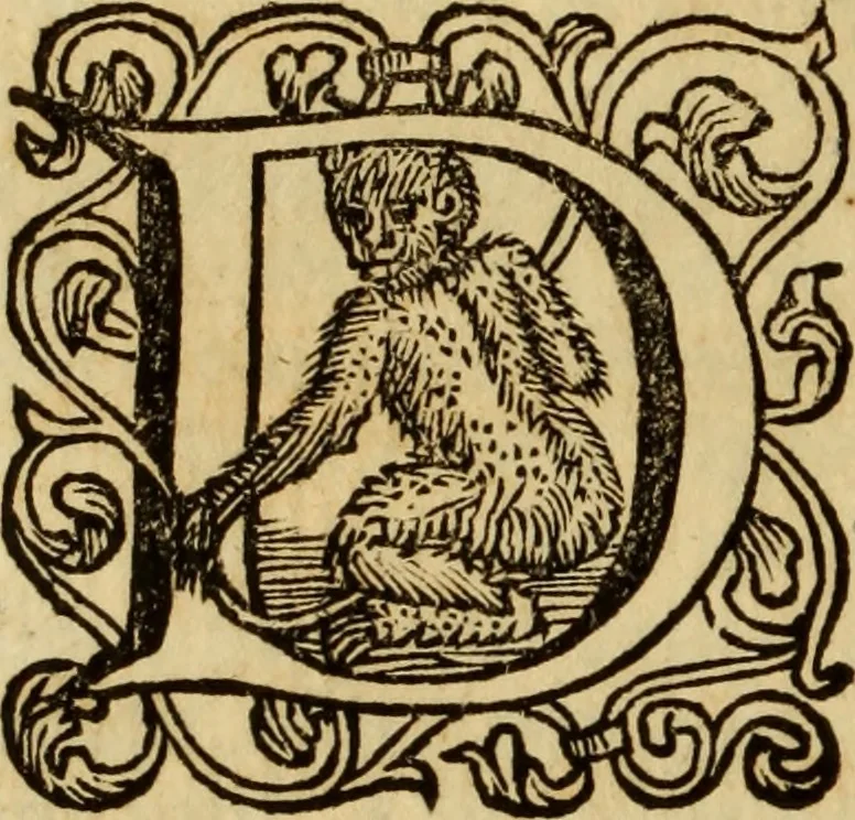 An illustration from Laurentii Bellini Opuscula aliquot Ad Archibaldum Pitcarnium Professorem Lugduno-Batavum, 1695, leaf 213