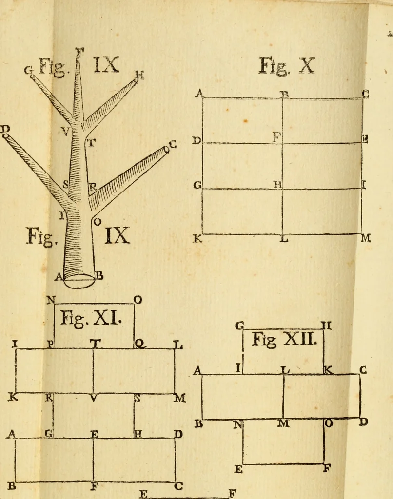 An illustration from Laurentii Bellini Opuscula aliquot Ad Archibaldum Pitcarnium Professorem Lugduno-Batavum, 1695, leaf 250