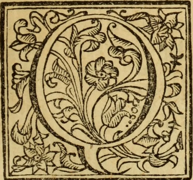 An illustration from Laurentii Bellini Opuscula aliquot Ad Archibaldum Pitcarnium Professorem Lugduno-Batavum, 1695, leaf 26