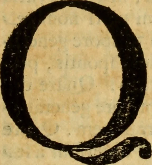An illustration from Laurentii Bellini Opuscula aliquot Ad Archibaldum Pitcarnium Professorem Lugduno-Batavum, 1695, leaf 30